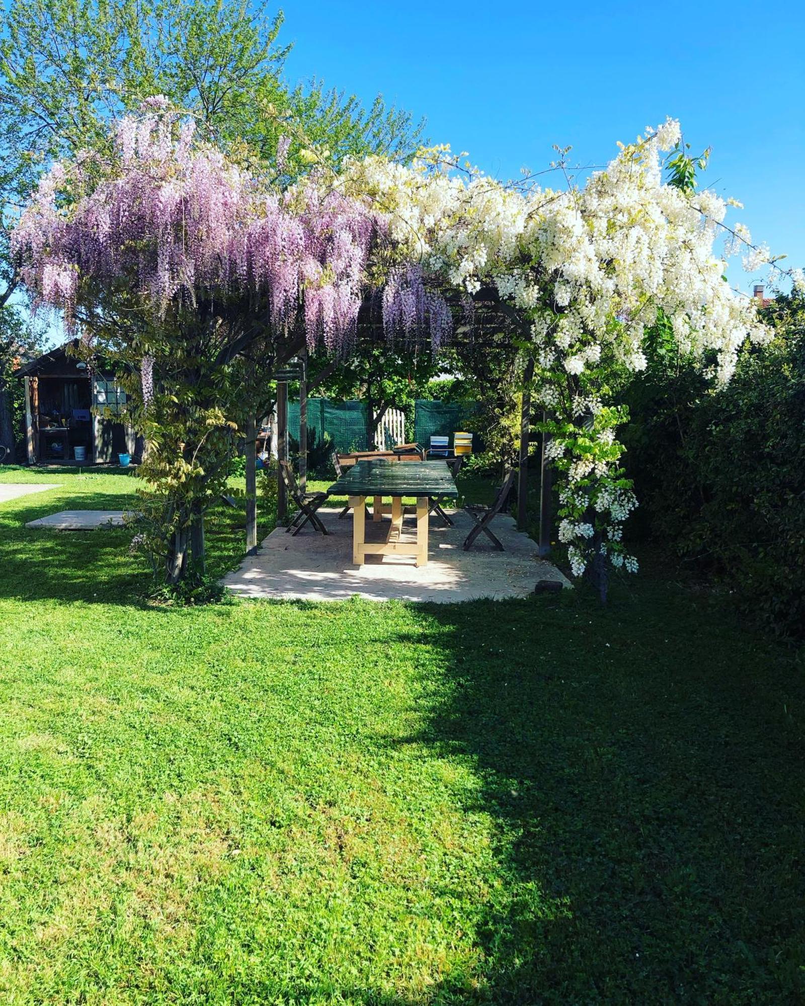 B&B Melloni Street Доло Екстер'єр фото